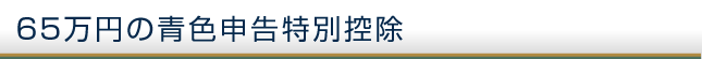 ６５万円の青色申告特別控除