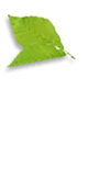 Ւd