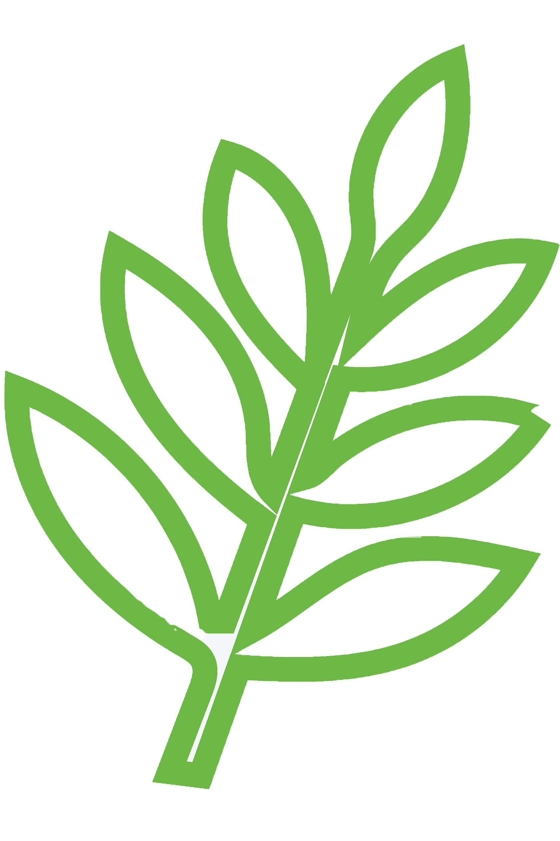 背景の葉っぱのイラスト